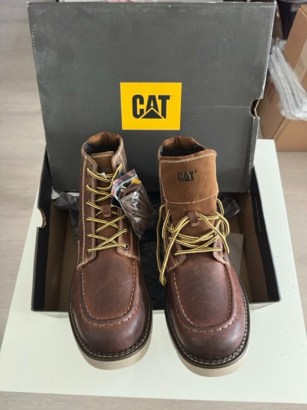 NWT  WITH  BOX   CAT Footwear Covert Lace up Boots